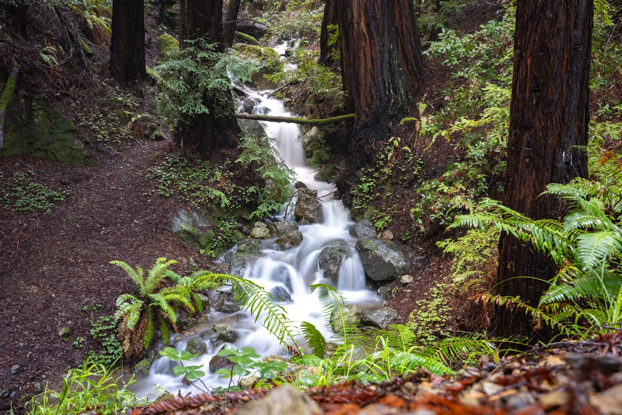 Alice Eastwood Group Campground