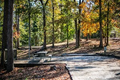 Hard Labor Creek State Park