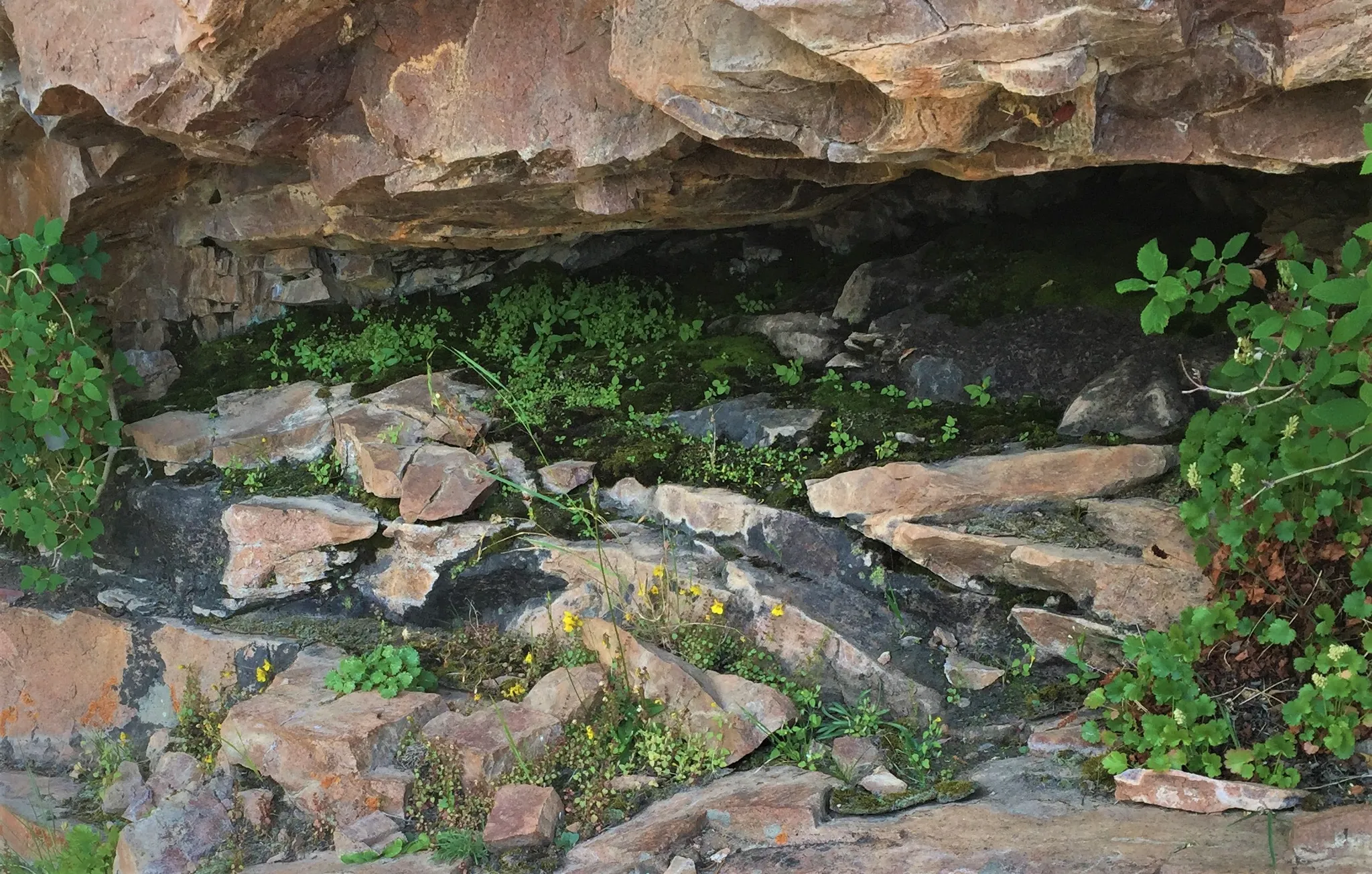Staunton State Park