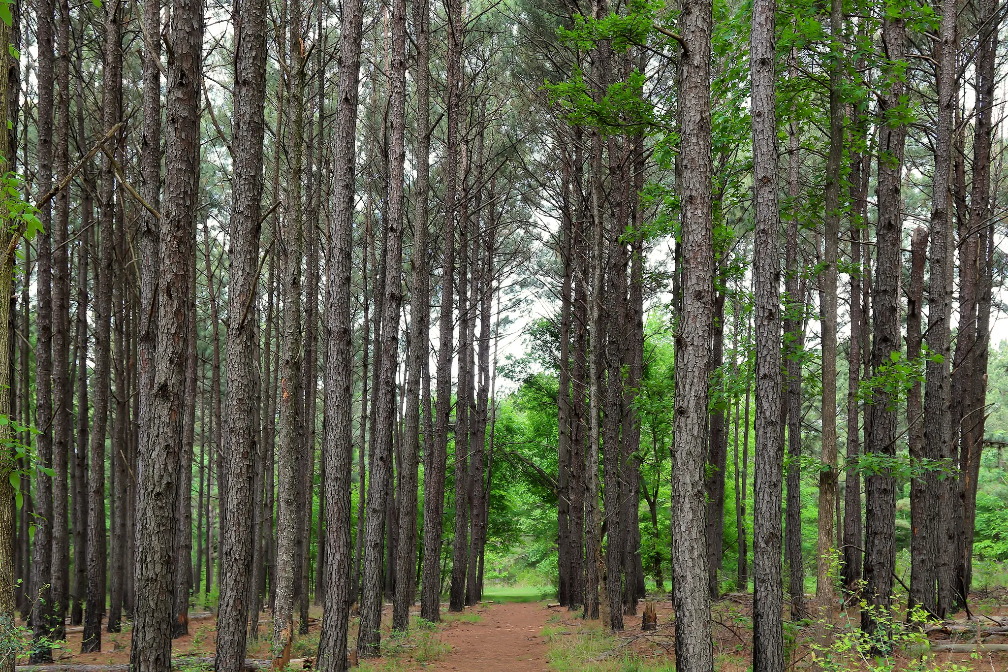 Martin Creek Lake State Park