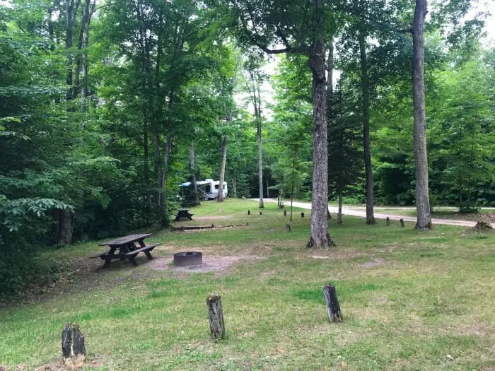 Ross Lake State Forest Campground