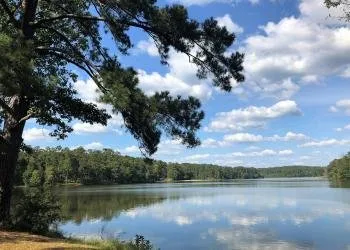 Brushy Lake Recreation Area