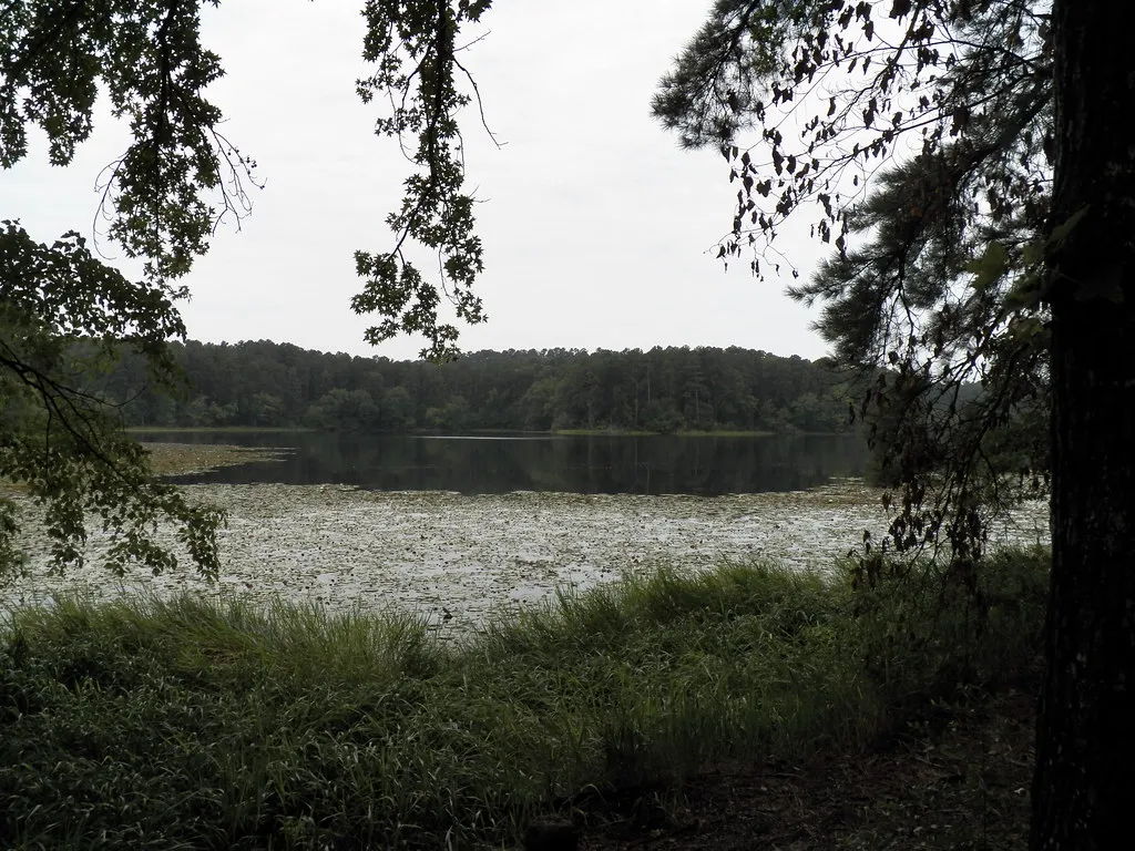 Daingerfield State Park