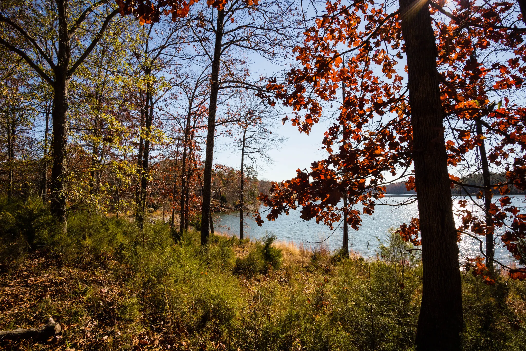 Richard B Russell State Park