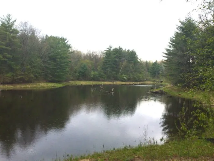Black Creek State Forest Campground
