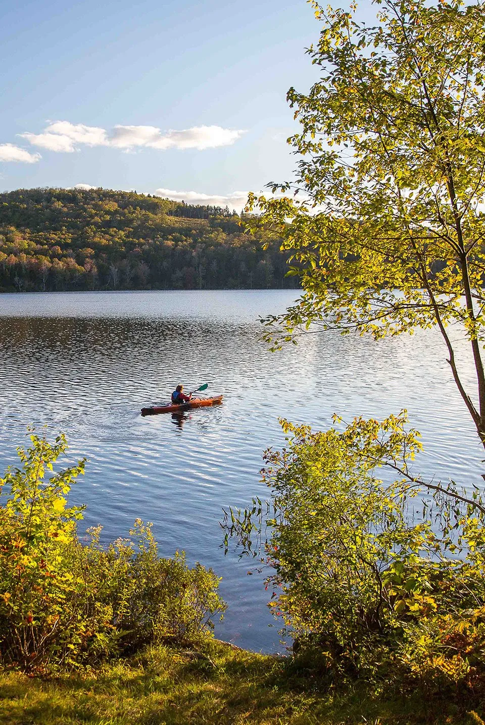 Pillsbury State Park