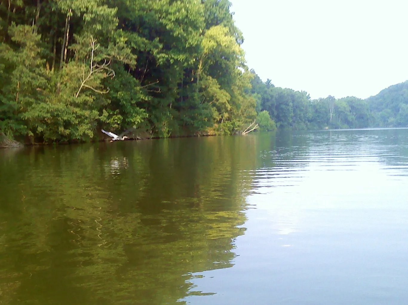 Raccoon Lake