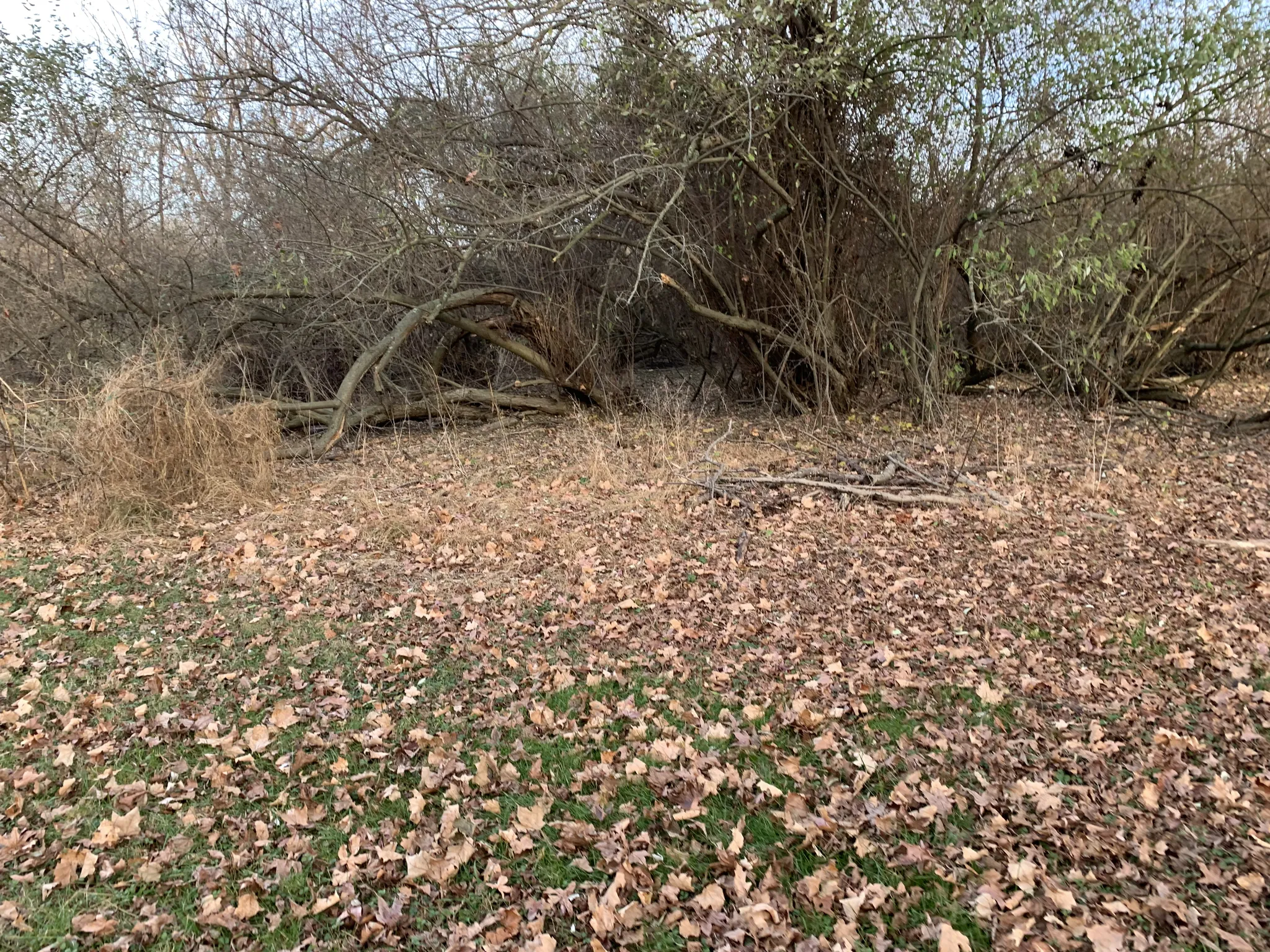 Spruce Run Campground