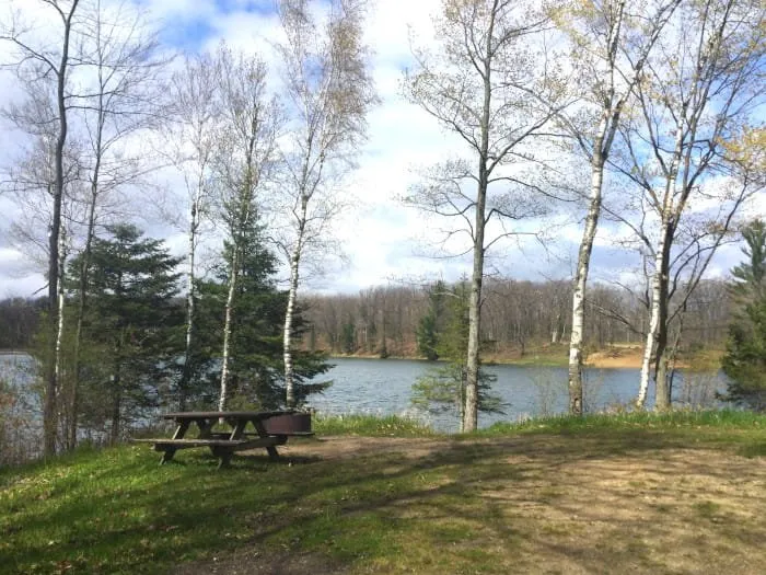 Trout Lake State Forest Campground