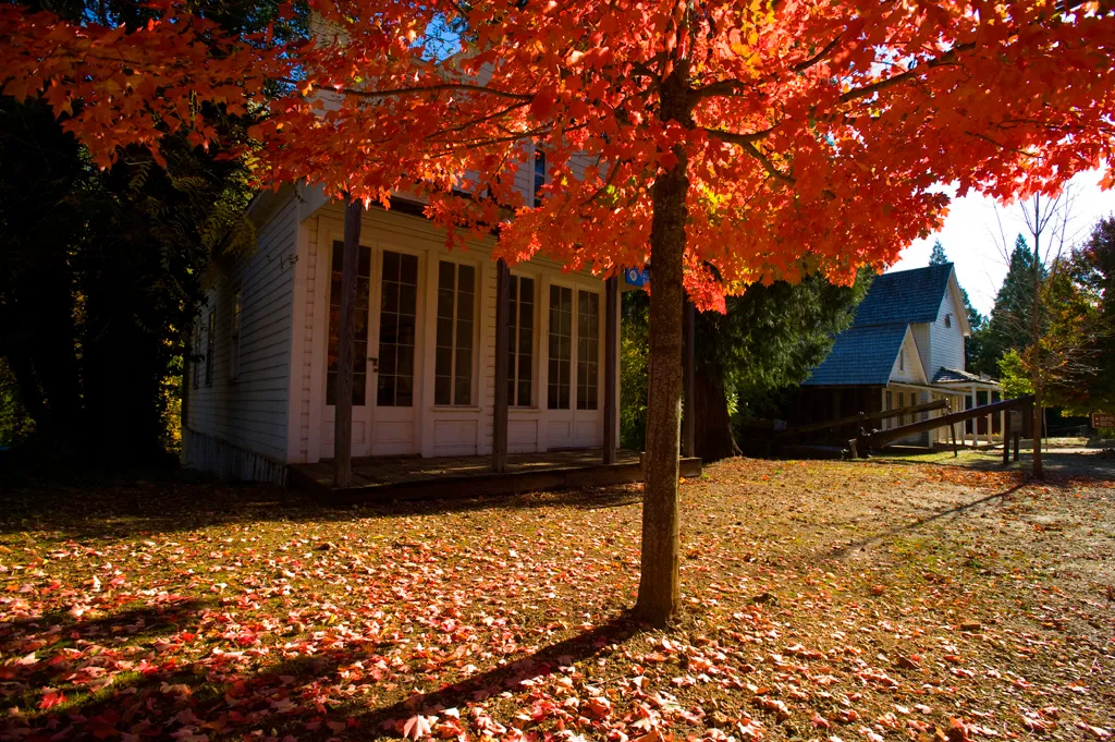 Malakoff Diggins State Historic Park Campground
