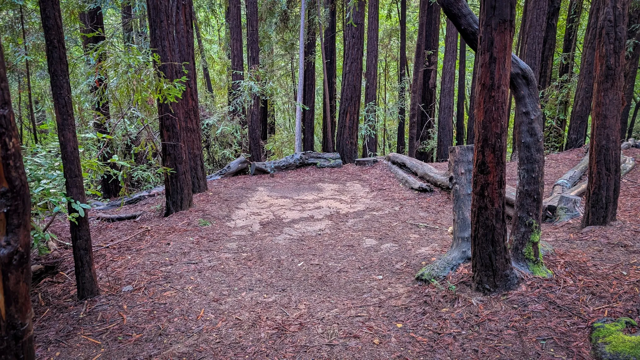 Alice Eastwood Group Campground