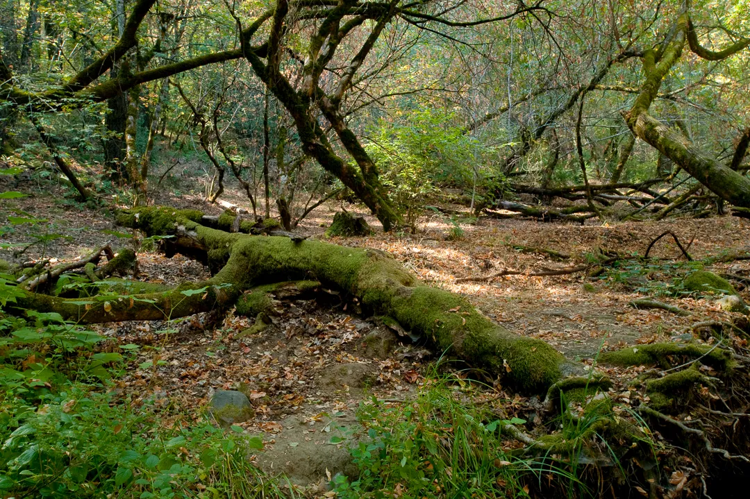 Valley Group Campground