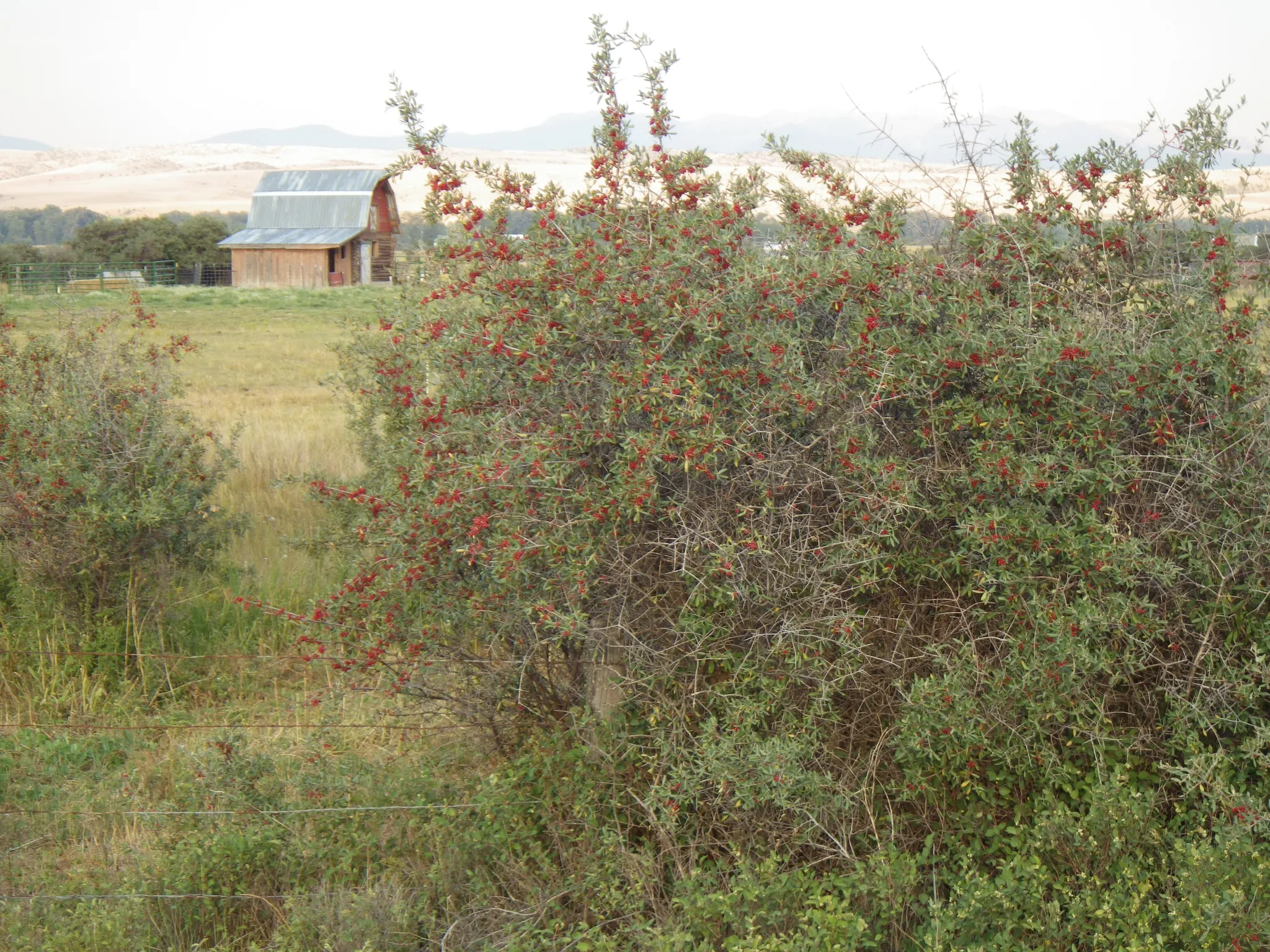 Missouri Headwaters State Park
