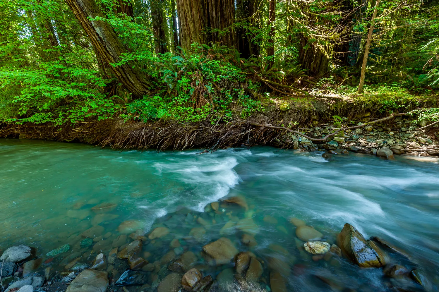 River Campground