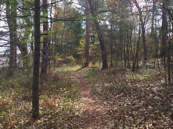 Van Etten Lake State Forest Campground