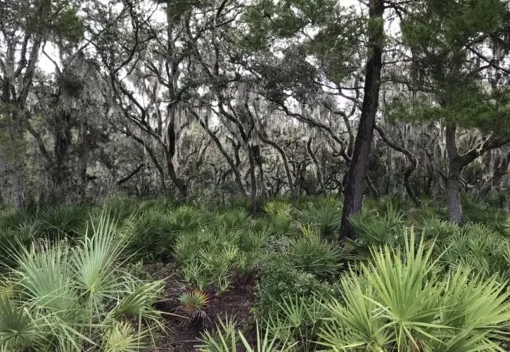 Little Manatee River State Park Loop Lmre