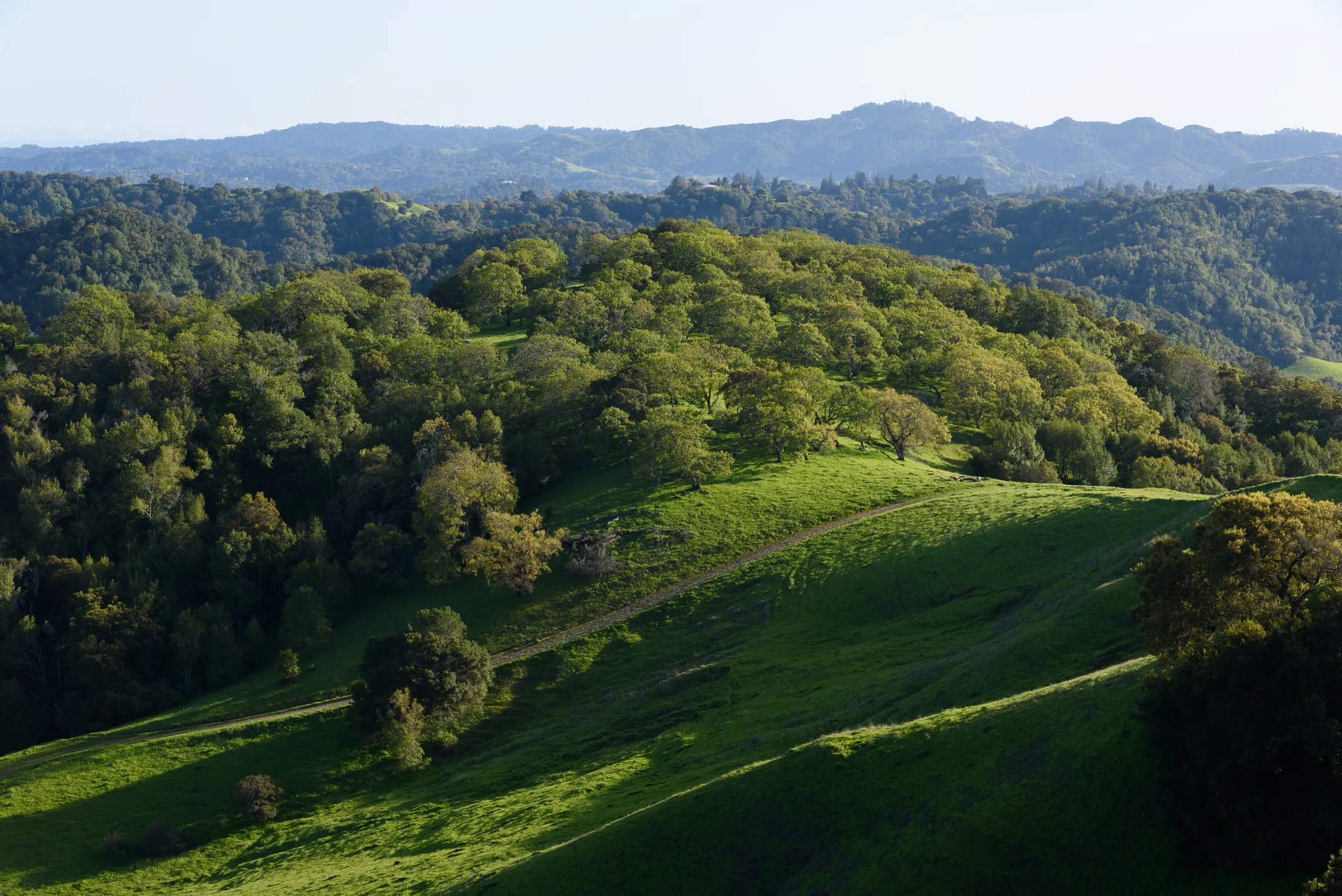 Briones Regional Park