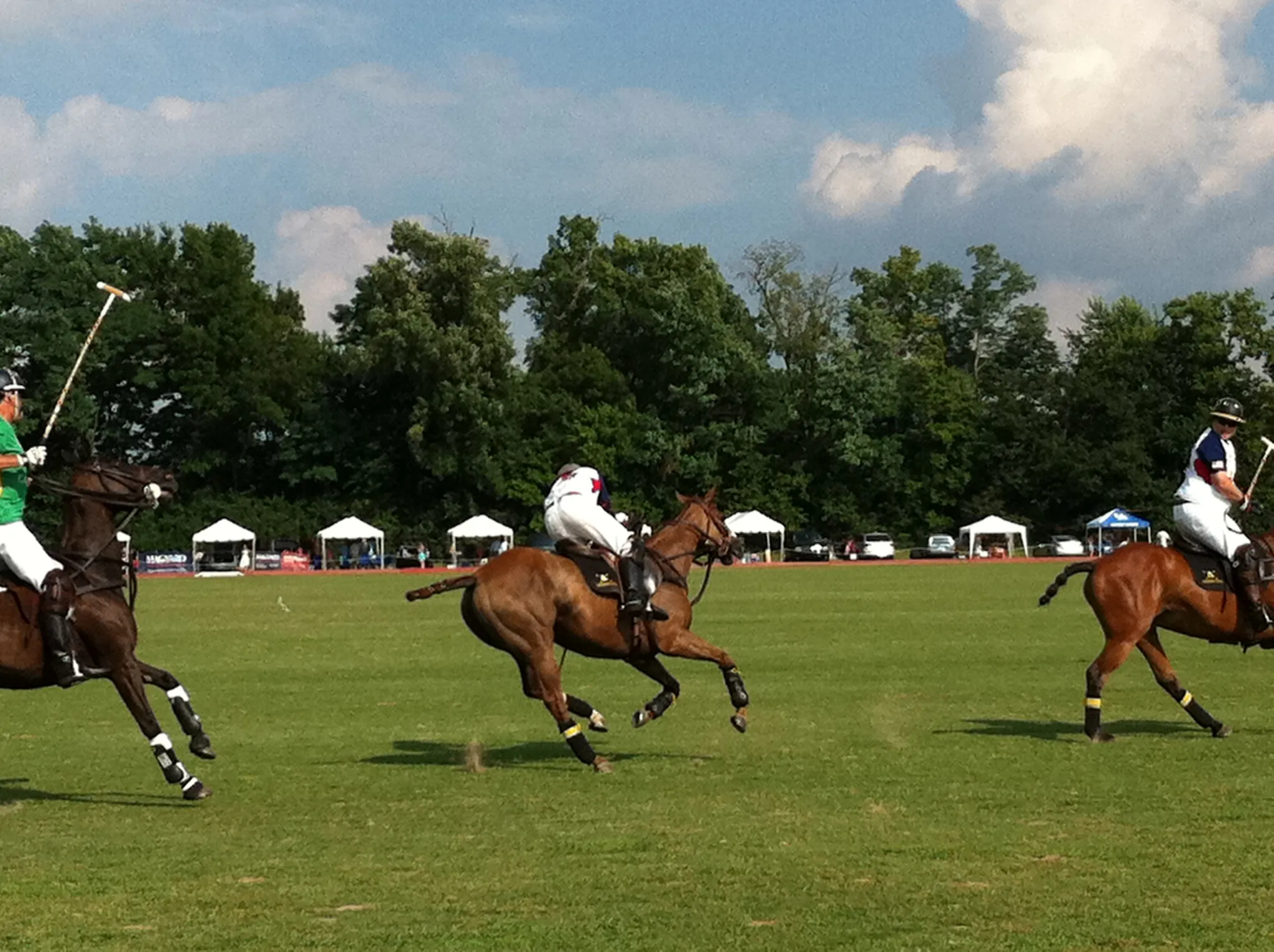 Kentucky Horse Park