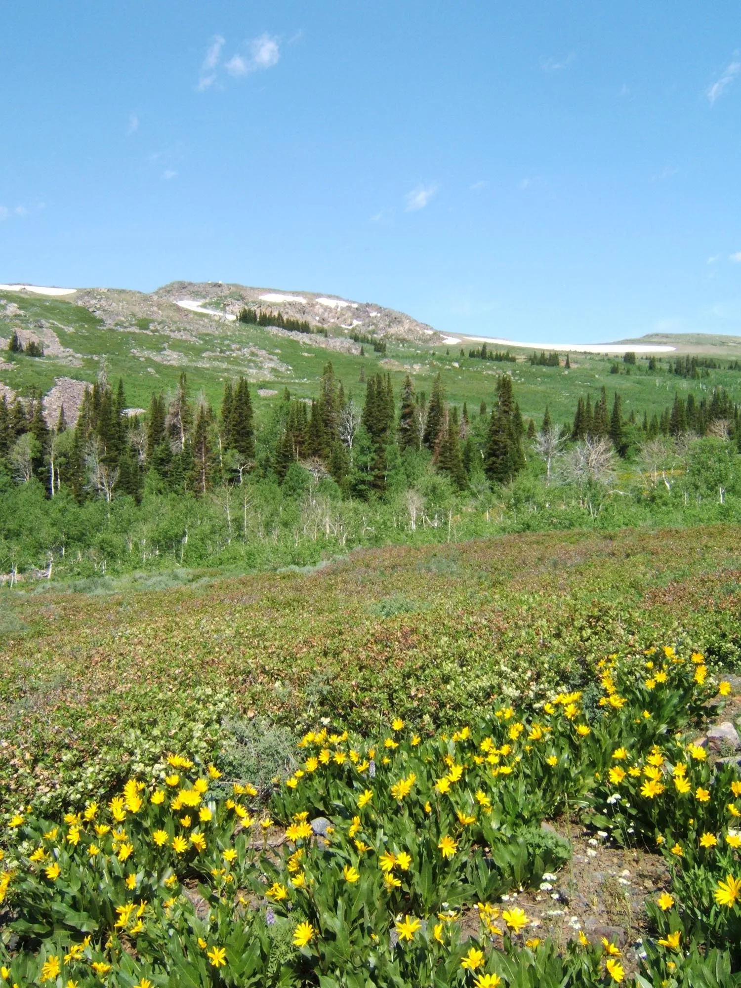 Wild Horse Campground