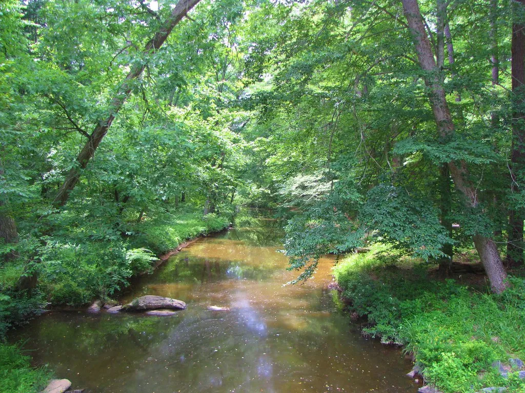 William B. Umstead State Park