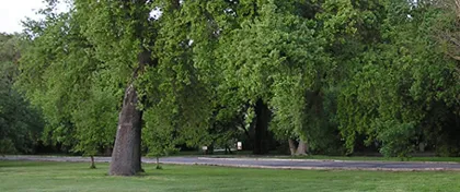 George Hatfield Group Campground