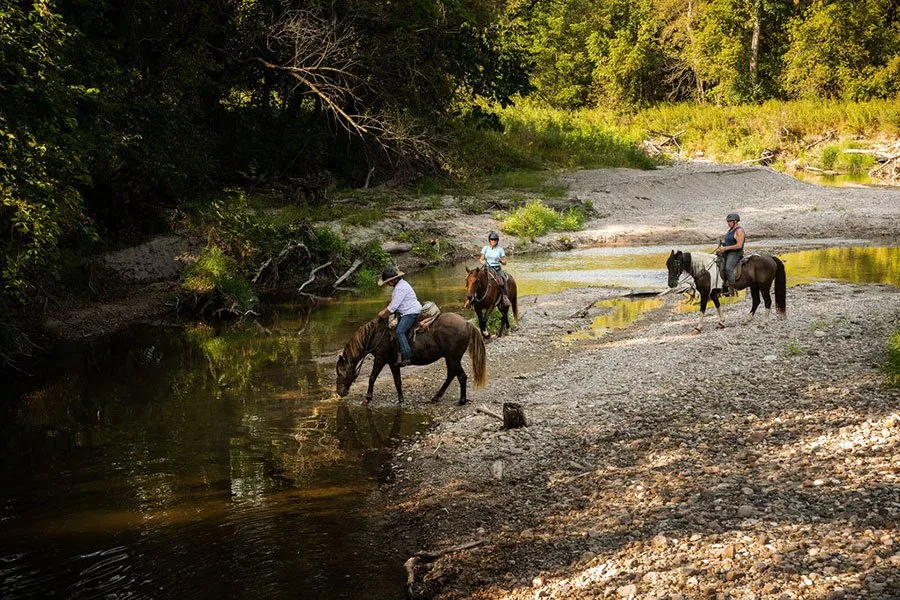 Equestrian Campground