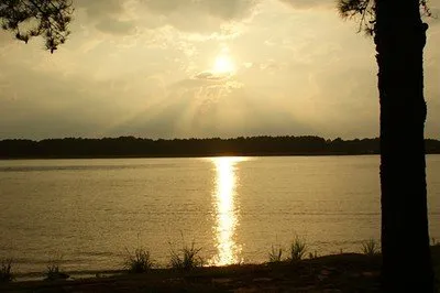 Reed Bingham State Park