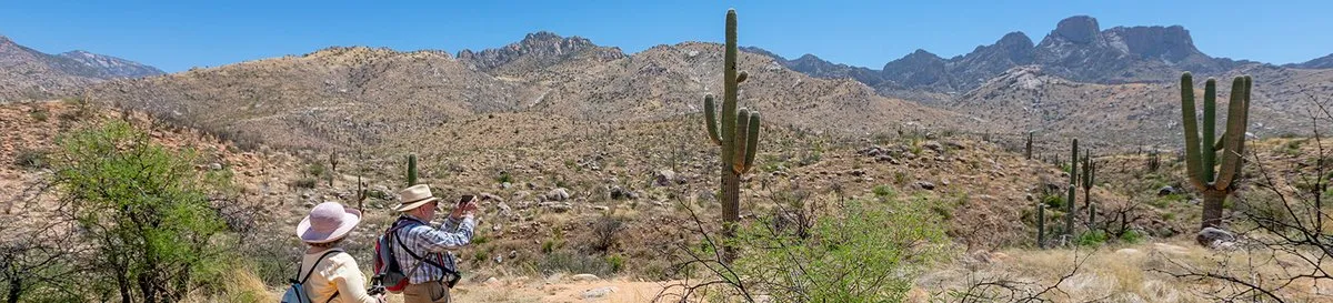 Ringtail Campground
