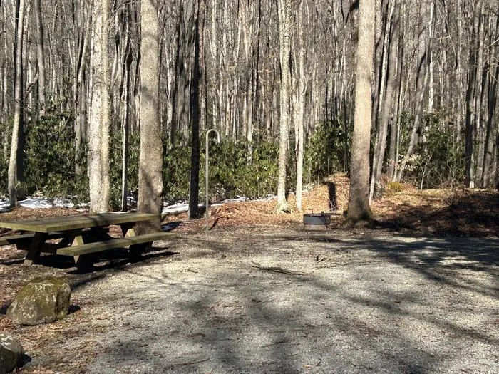 Tea Creek Campground