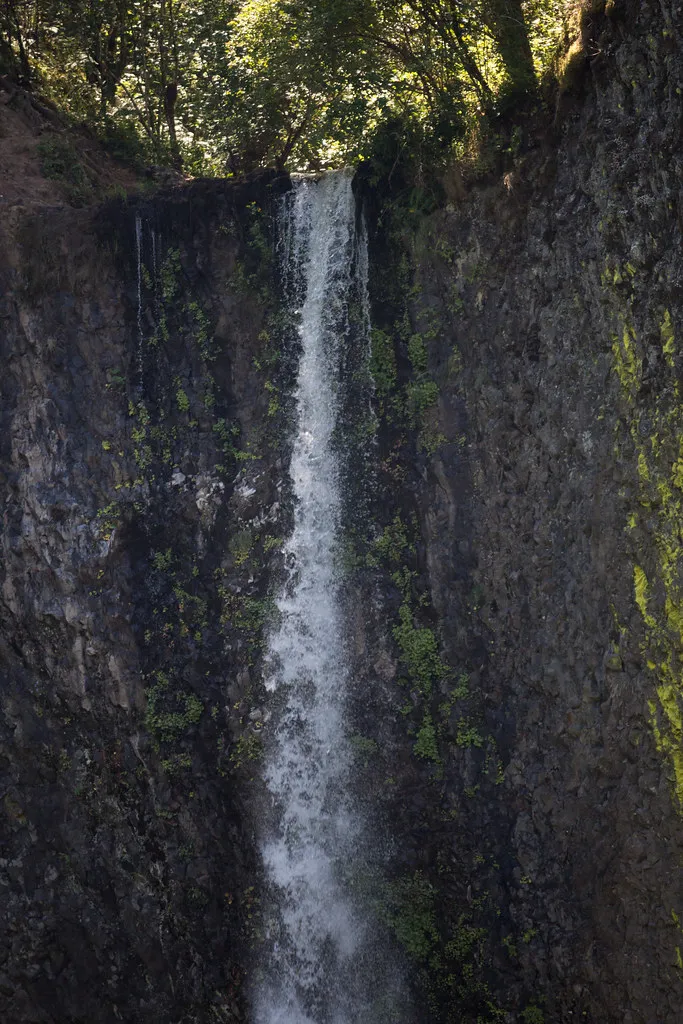 Guy  W. Talbot State Park
