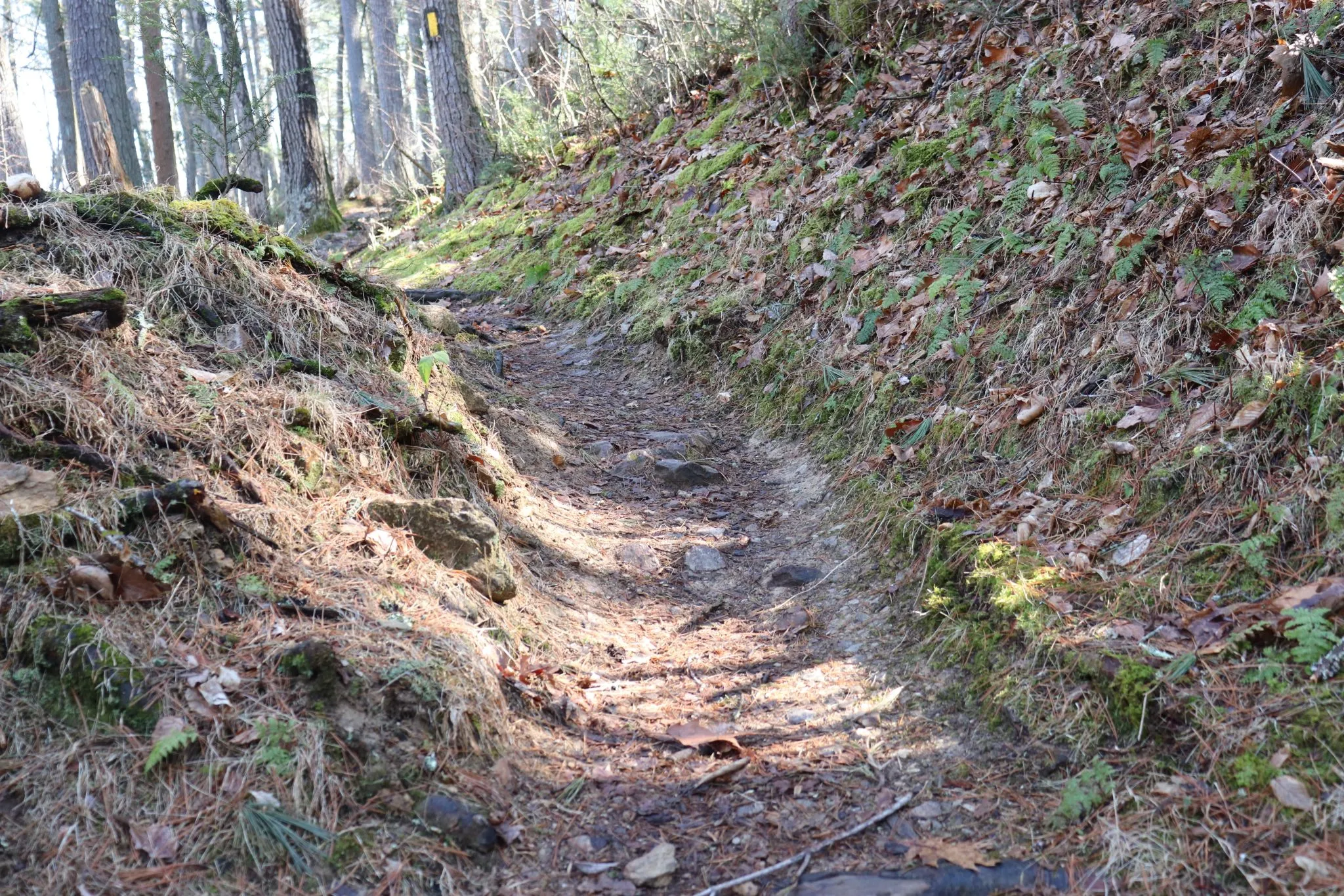 Caledonia State Park