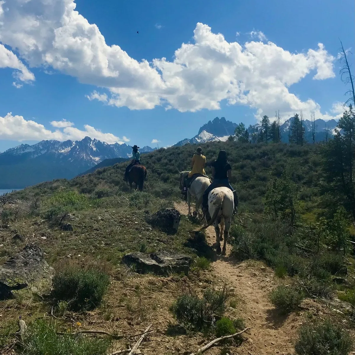 Bear Creek Transfer Camp