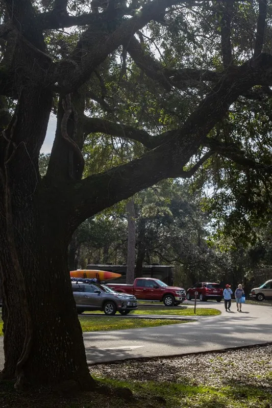Davis Bayou Campground