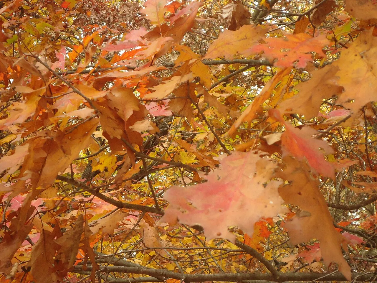 Governor Dodge State Park
