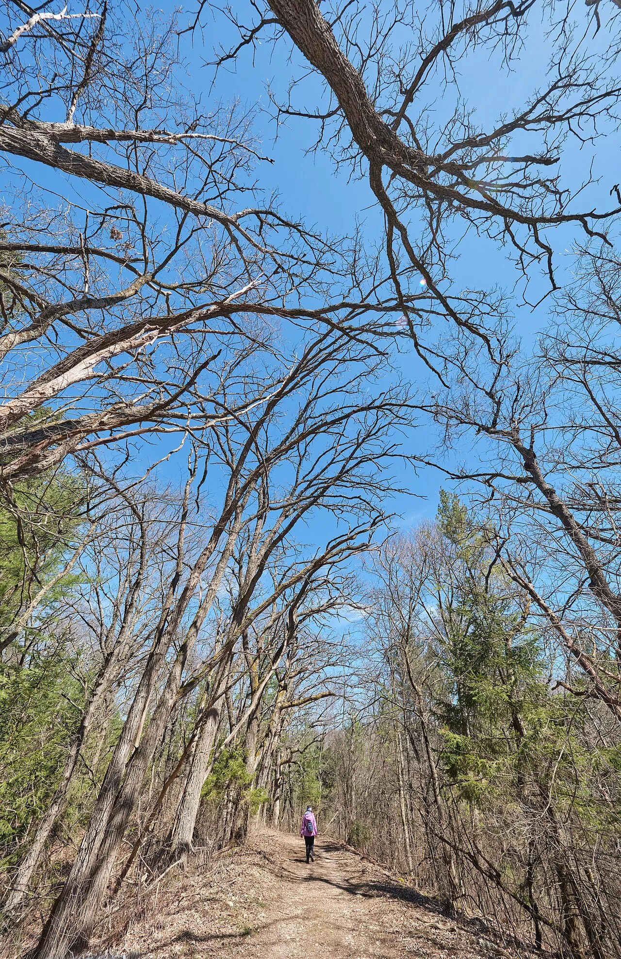 Kettle Moraine State Forest - Southern Unit