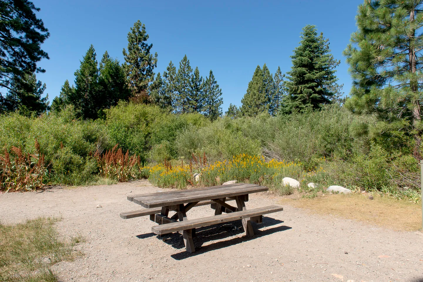 Tahoe Campground