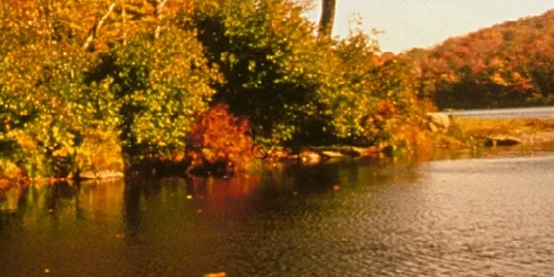 Mt. Greylock State Reservation