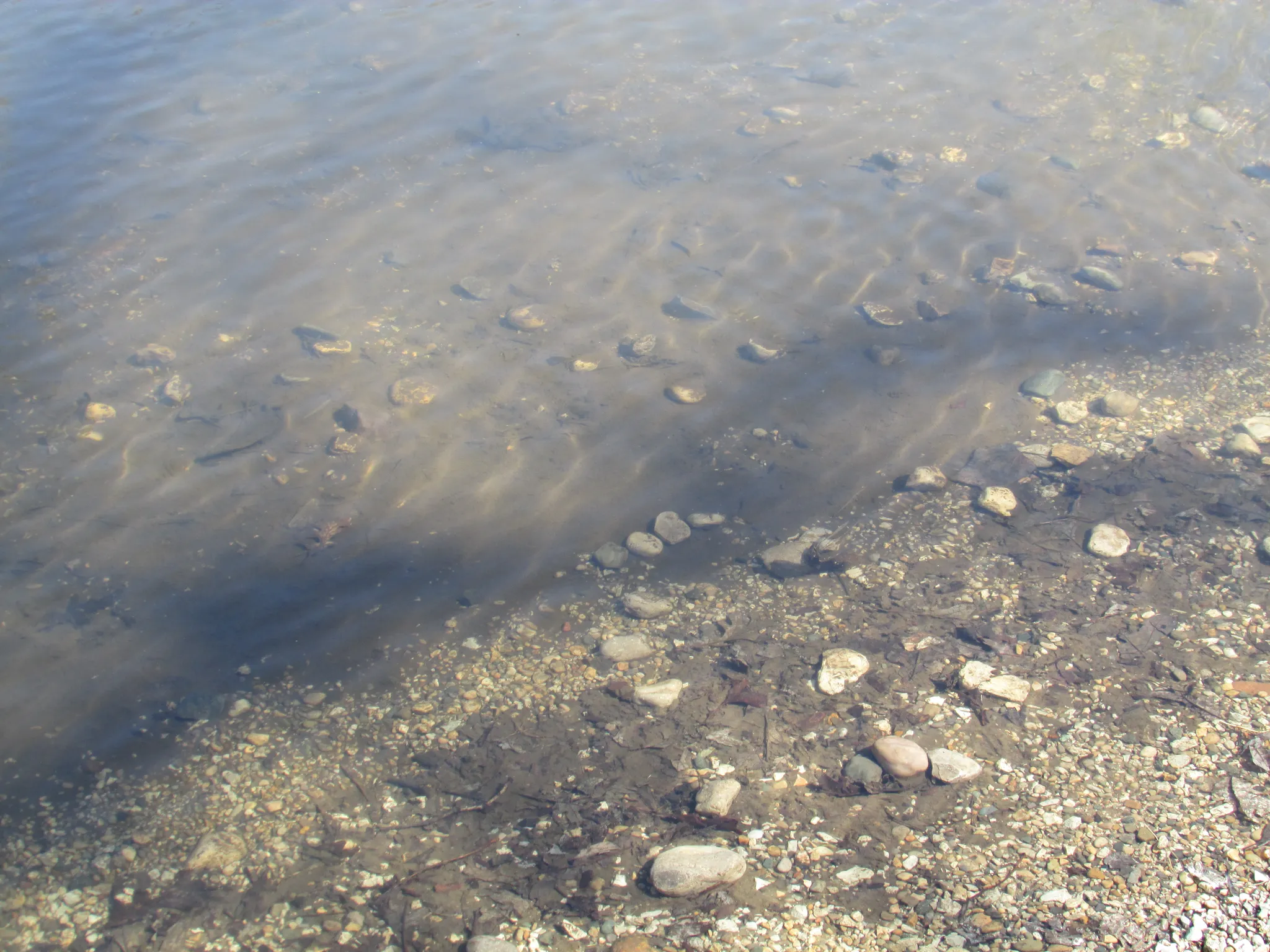 Tippecanoe River State Park