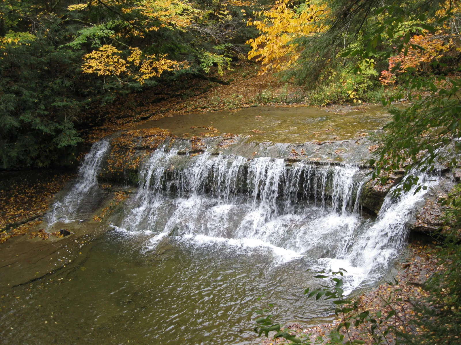 Robert H Treman State Park