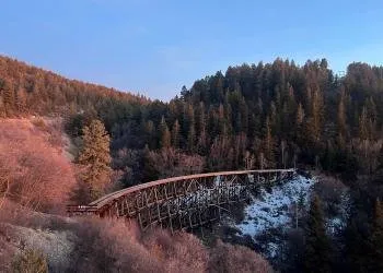 Lower Fir Group Campground