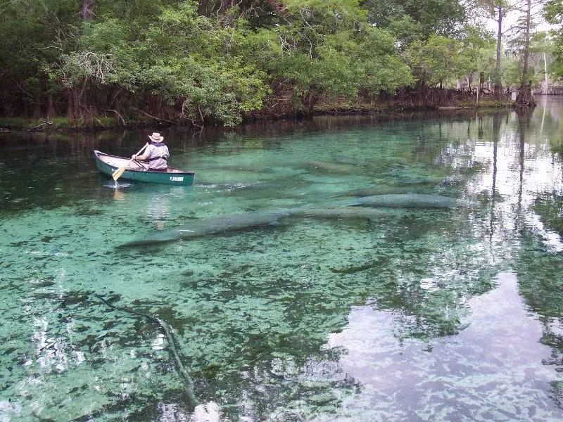 Suwannee River State Park Loop Outr