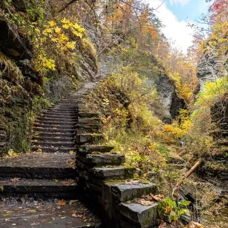 Watkins Glen State Park