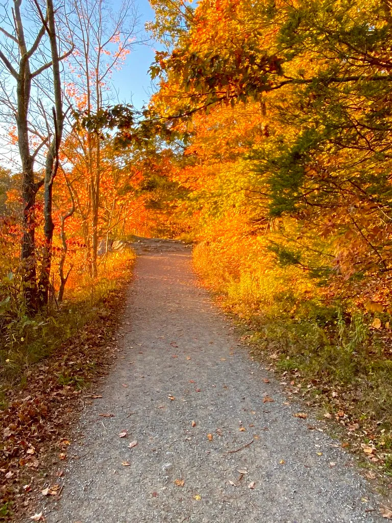 Wawayanda Campground