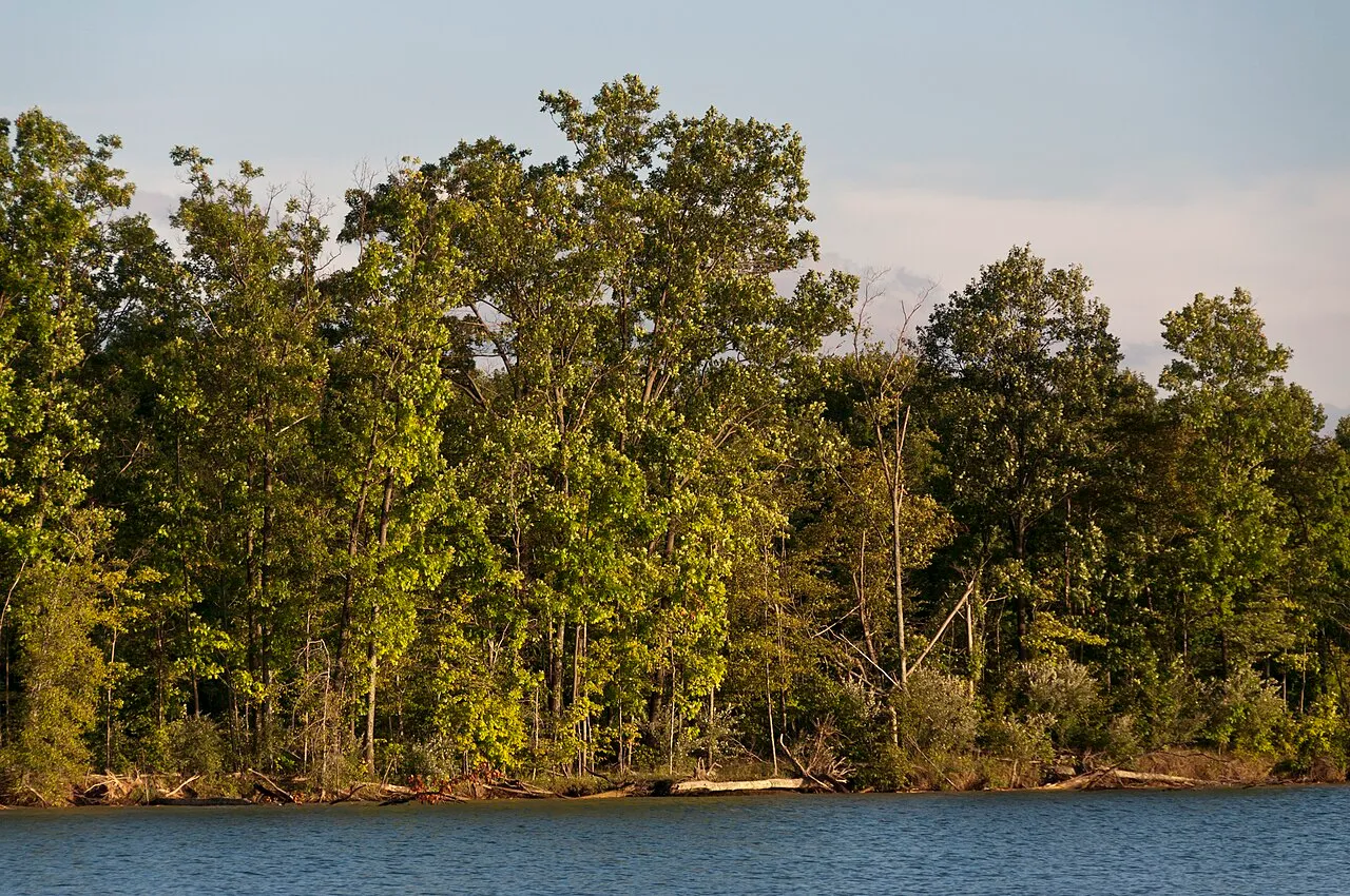 Alum Creek Equestrian Camp