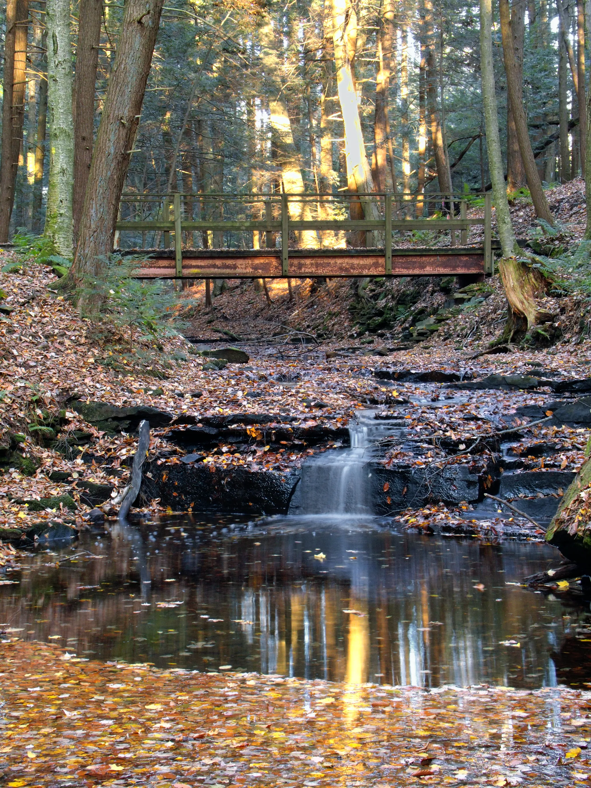 Maurice K Goddard State Park