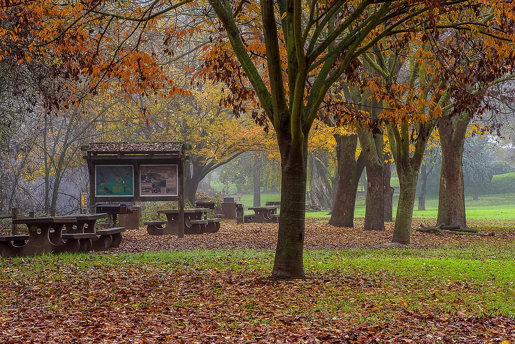 Colusa-Sacramento River State Recreation Campground