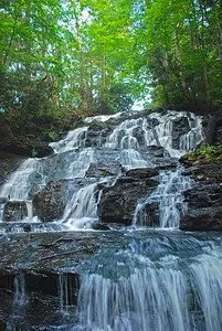 Vogel State Park