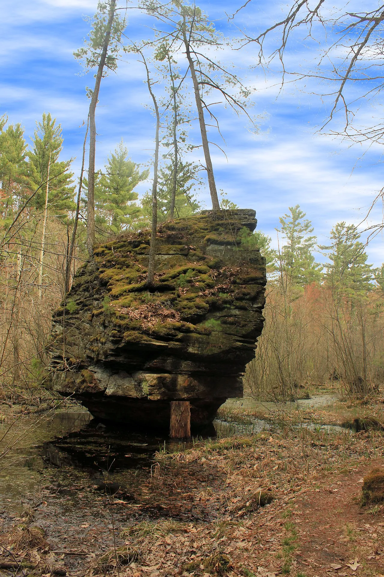 Rocky Arbor State Park