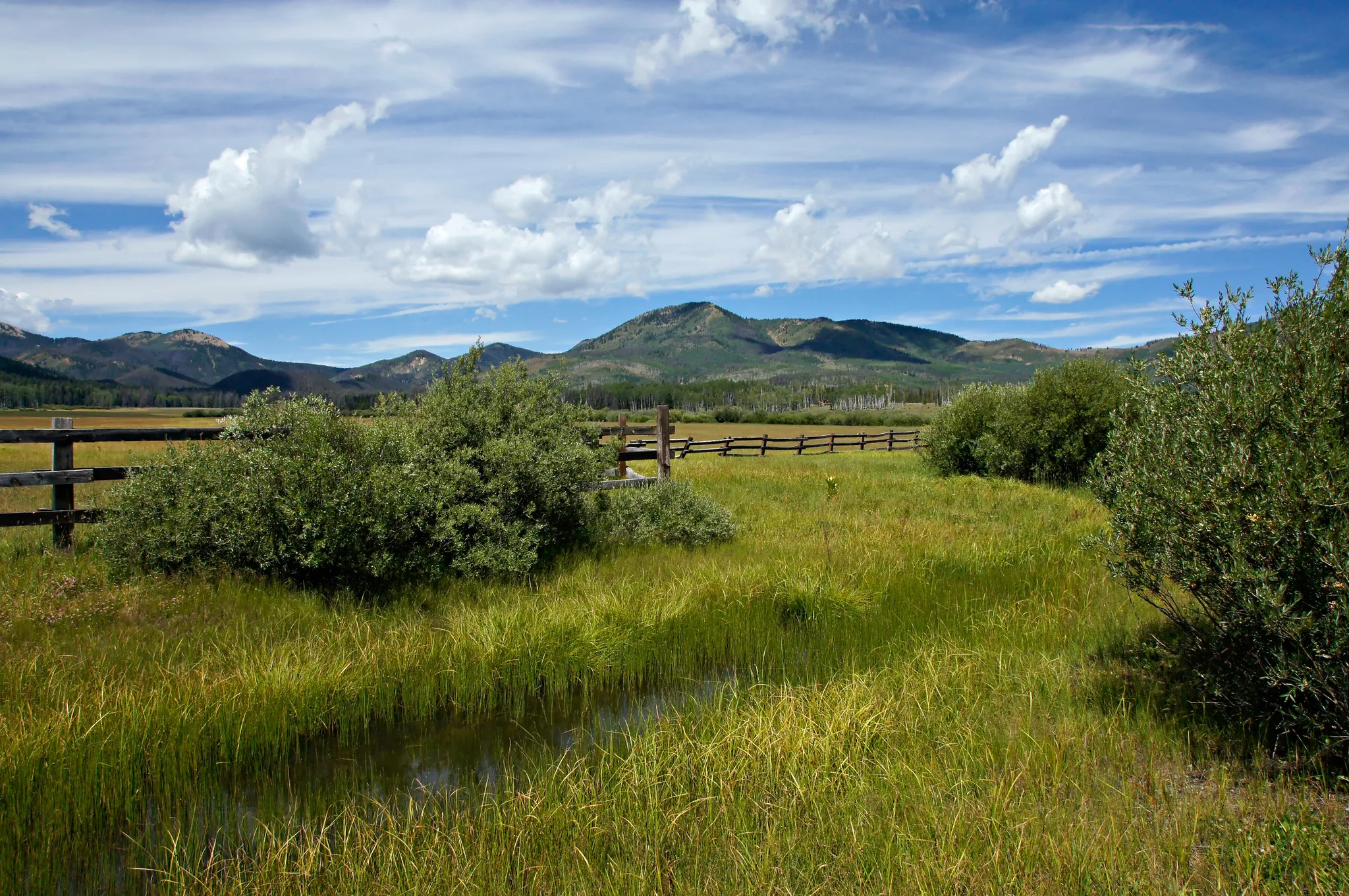Steamboat Lake Campground