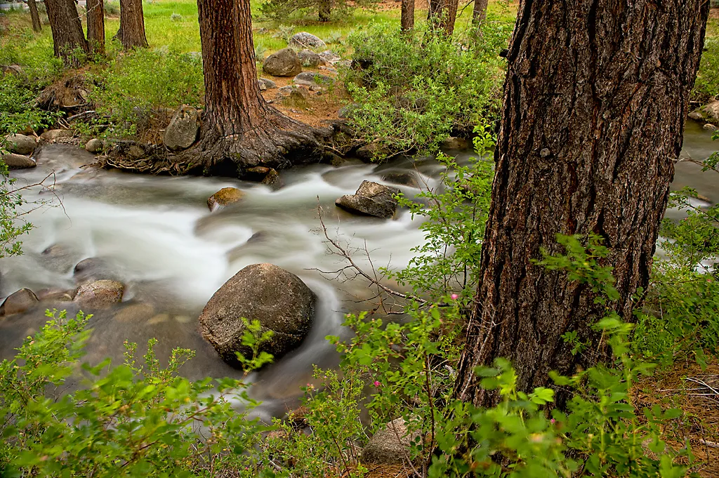 Grover Hot Springs State Park Campground